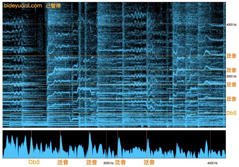 ppR3 Vector 的图像结果