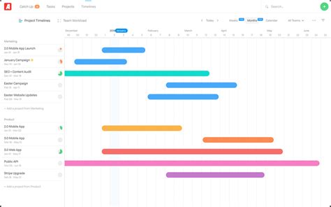 Image result for Timeline Maker Software