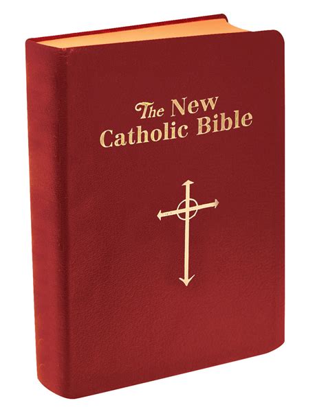 Catholic The New Testament: New Catholic Version Audiobook | Free With