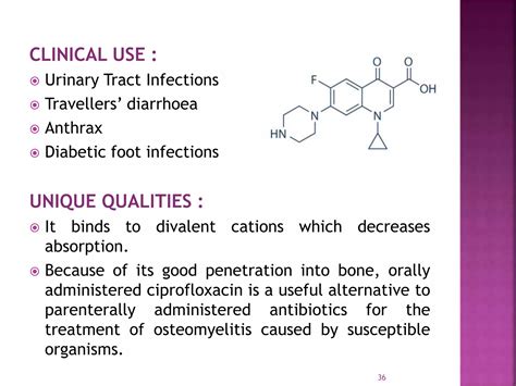 Quinolones | PPTX