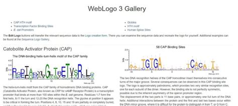 WebLogo 的图像结果