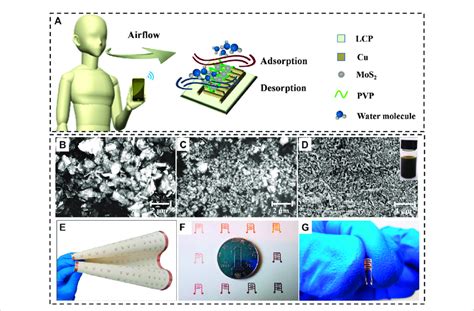 Image result for Humidity Sensor Respiratory