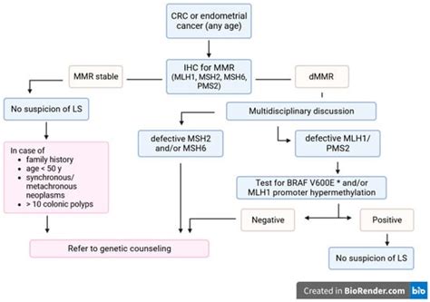 Lynch Syndrome: From Multidisciplinary Management to Precision Prevention