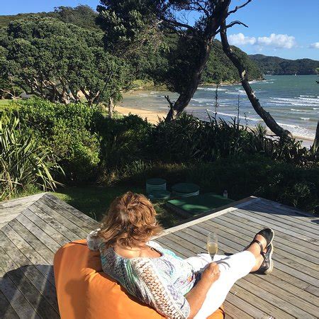 Go Great Barrier Island - Day Tours - 2022 What to Know Before You Go ...