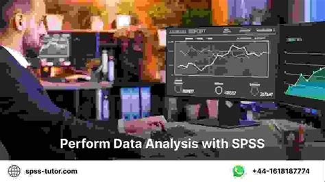 Analyzing SPSS Data Full-Course 的图像结果