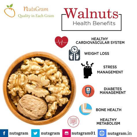 Health benefits of walnuts – Artofit