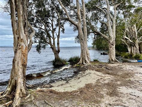 MUNGO BRUSH CAMPGROUND (Hawks Nest) - Campground Reviews & Photos ...