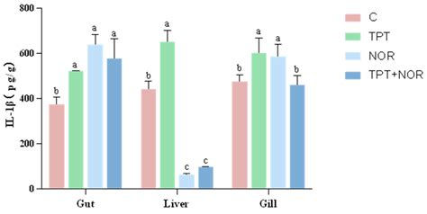 Tissue-Specific Toxicity in Common Carp (Cyprinus carpio) Caused by ...