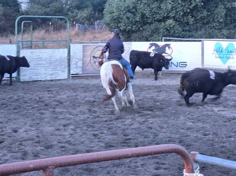 Friday Night Cattle (check event description for which event will be ...