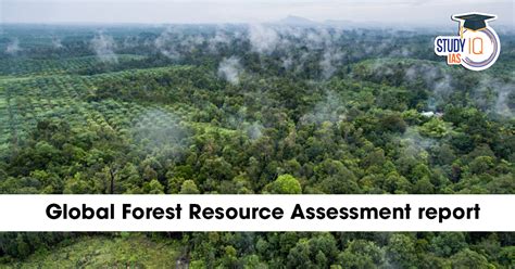 Global Forest Resource Assessment (GFRA) Report – Explained