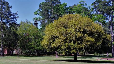 Huntingdon College welcomes Judson College students