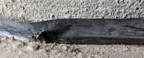 Damp Proof Course Garage 的图像结果