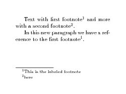 Image result for Two Footnotes Same Source