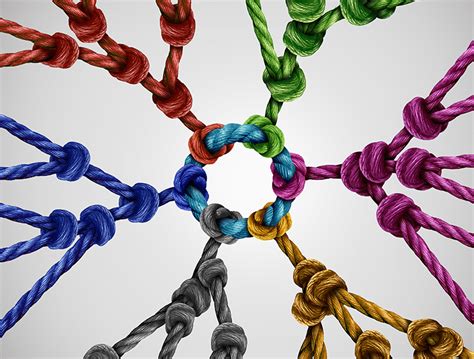 Image result for Safety Net Insurance