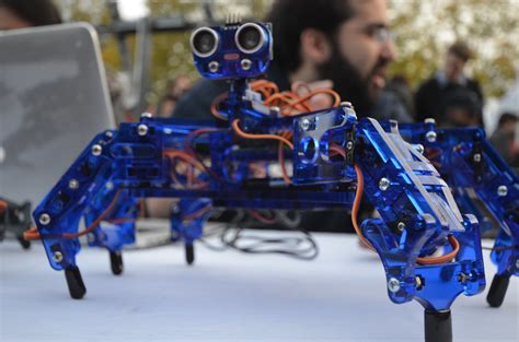 Real Robot Projects 的图像结果