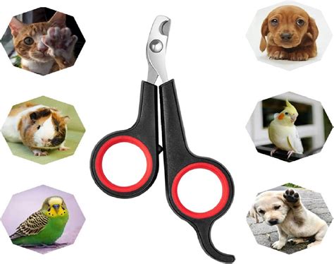 Q D Pet Grooming Nail Claw Paw Cutter Trimmer Clipper Scissor for Dog ...