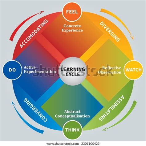 Learning Cycle 的图像结果