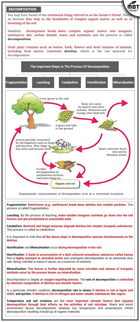 Image result for decomposition.
