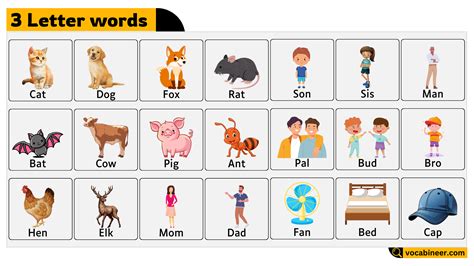 3 Letter Words: List of 2200 Three Letter Words Examples