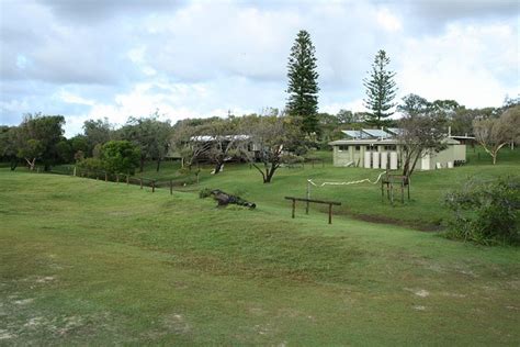 DILLI VILLAGE (K'gari (Fraser Island)) - Campground Reviews & Photos ...