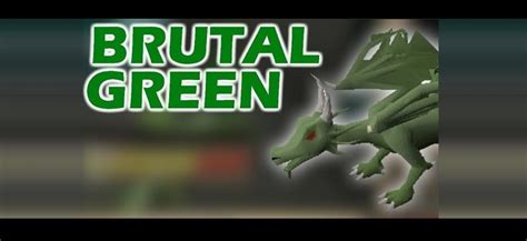 OSRS Brutal Green Dragon Guide - Best OSRS Guides