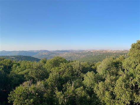 AJLOUN NATURE RESERVE (2026) All You Need to Know BEFORE You Go (with ...