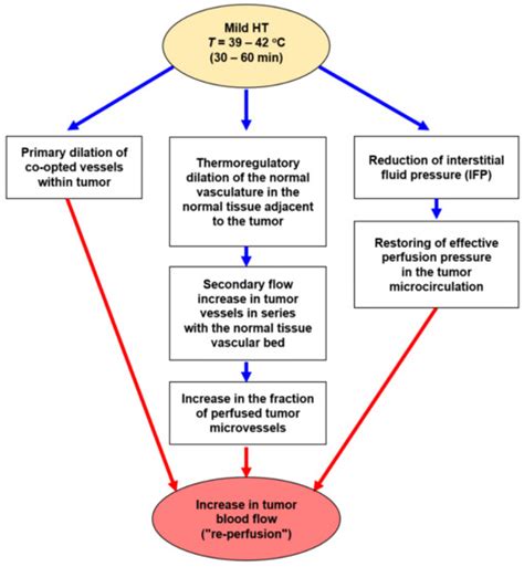 Cancers | Special Issue : Advances in Radiation Immuno-Oncology ...