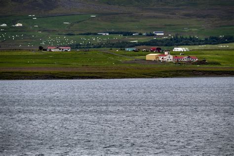 Agriculture Landscape In Iceland Free Stock Photo - Public Domain Pictures