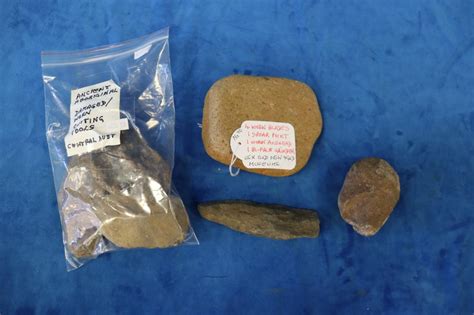 Primitive Stone Tools 的图像结果