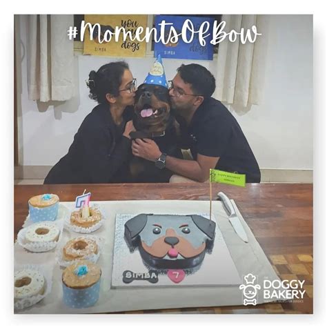 Dog Cakes & Treats | Bengaluru |Mumbai | Gurgaon | – The Doggy Bakery