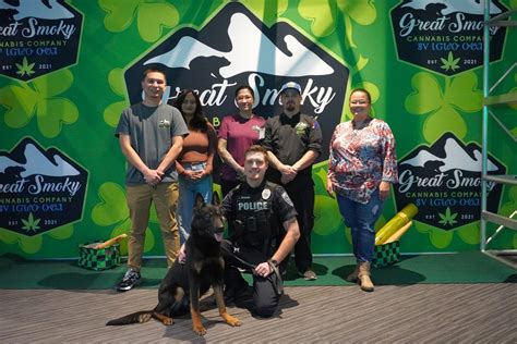 North Carolina's Great Smoky Cannabis Company Collaborates with ...