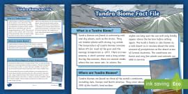 Desert Biome Fact File | Environments and Adaptations