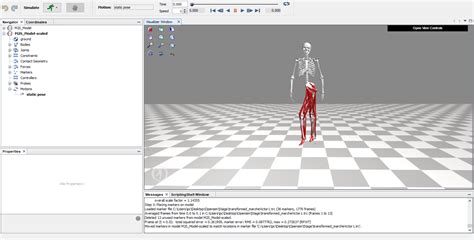 SimTK: OpenSim: [#3228] Scaling problem for gait analysis