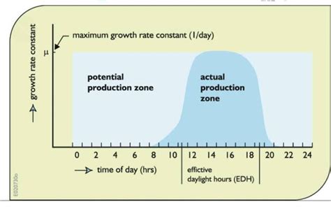 Growth is maximum in zone of - Brainly.in
