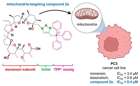 Mitochondrial-Targeted Triphenylphosphonium-Conjugated Ionophores with ...
