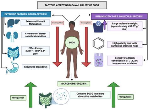 IJMS | November-1 2025 - Browse Articles