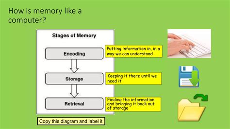 Image result for Memory Store Model