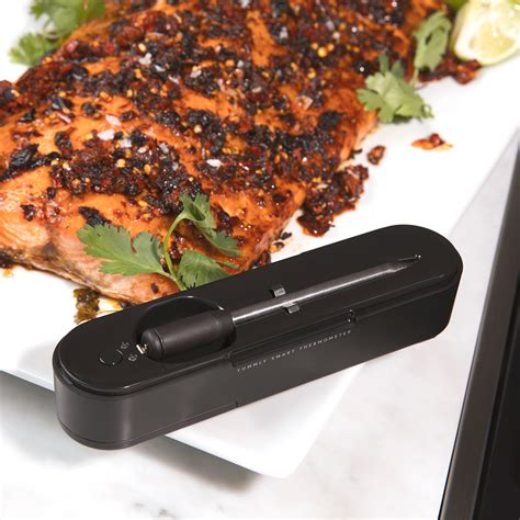 Yummly® Smart Bluetooth Meat Thermometer - Yummly® - Touch of Modern