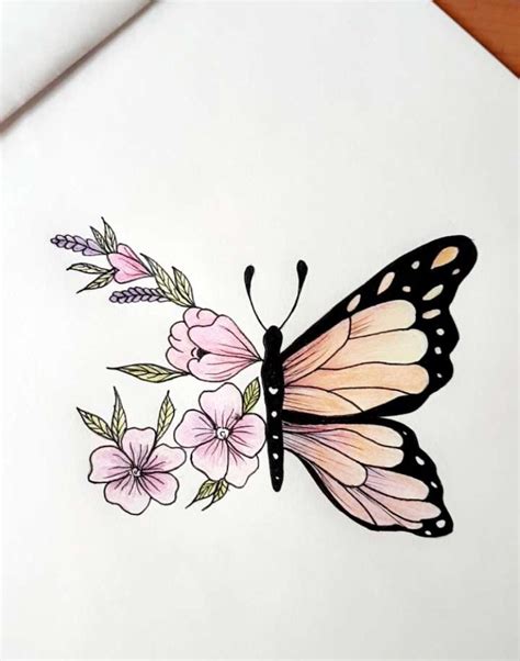 butterfly drawing pinterest