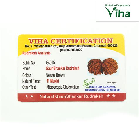 Gaurishankar Rudraksh – Viha Online