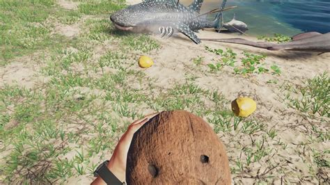 Image result for Get Stranded Deep