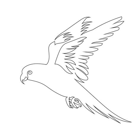 Image result for How to Draw Parrot Flying