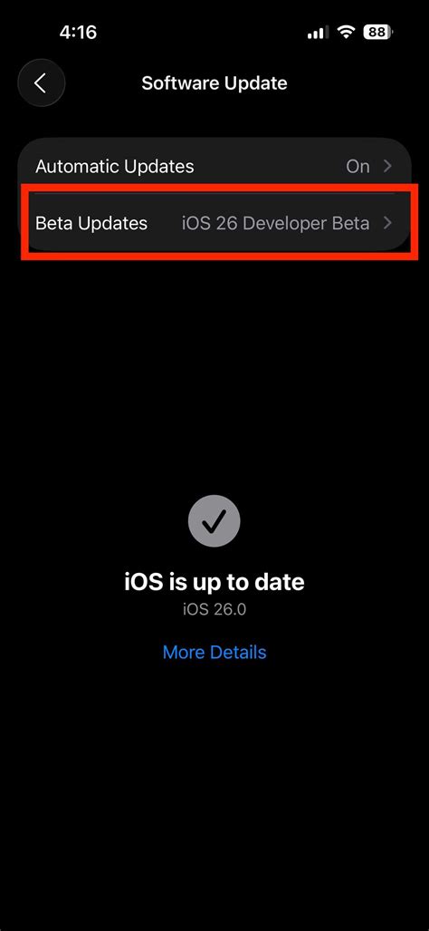 Should You Install the Developer Beta on Your iPhone?