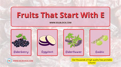 Fruits And Vegetables That Start With E at Kate Gask blog