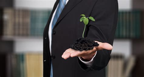 From sustainability to business: the new SMEs environment
