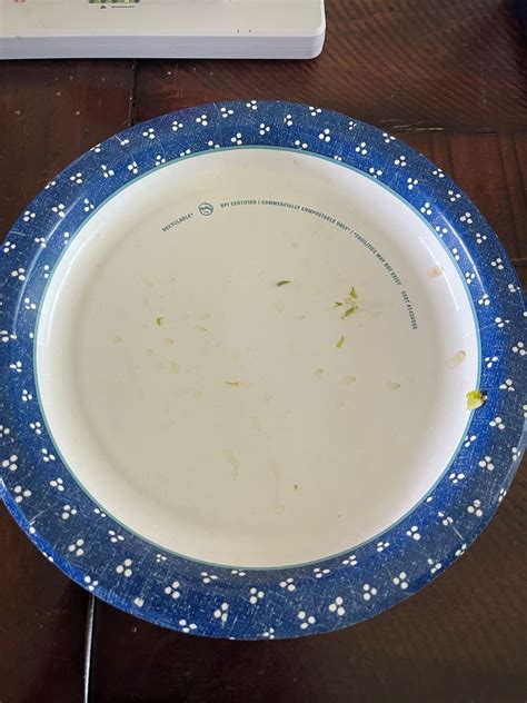 Let's talk about paper plates and recycling! Are paper plates ...