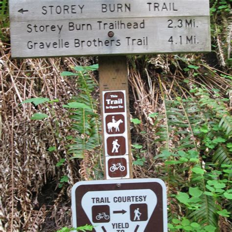 Gales Creek Campground Camping | The Dyrt