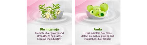 Buy Himalaya Anti-Hair Fall Cream | Reduces Hair Fall & Improves Hair ...