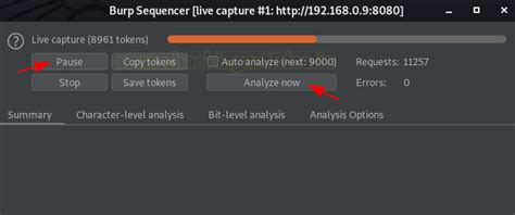 Burp Suite for Pentester: Burp Sequencer - Hacking Articles