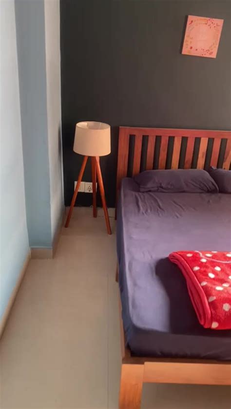 Single Room for Female in Sector 135 for Rs 14000 available Immediately ...